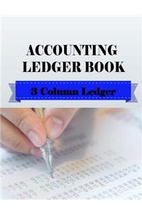 Accounting Ledger Book