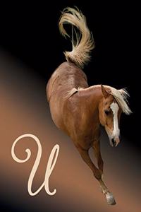 Horse Initial 'u' Monogram Notebook