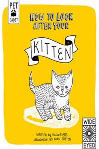 How to Look After Your Kitten