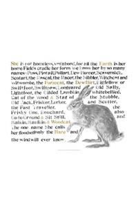 Jackie Morris Poster: Names of the Hare, The