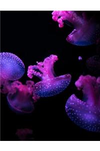 Jellyfish Notebook
