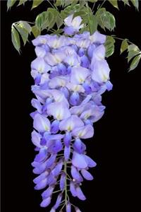 Wisteria Notebook