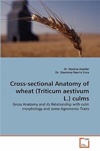 Cross-Sectional Anatomy of Wheat (Triticum Aestivum L.) Culms