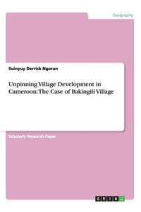 Unpinning Village Development in Cameroon