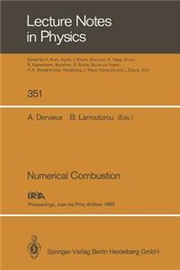Numerical Combustion