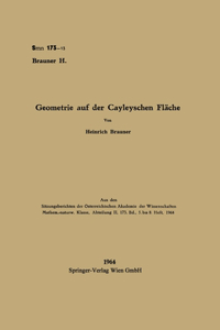 Geometrie auf der Cayleyschen Fläche