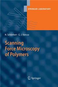 Scanning Force Microscopy of Polymers