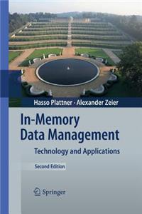 In-Memory Data Management