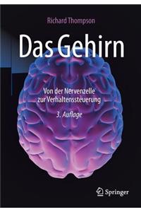 Das Gehirn