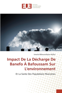 Impact De La Décharge De Banefo À Bafoussam Sur L'environnement