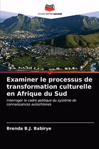 Examiner le processus de transformation culturelle en Afrique du Sud