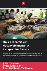 Uma economia em desenvolvimento