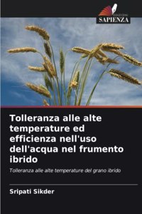 Tolleranza alle alte temperature ed efficienza nell'uso dell'acqua nel frumento ibrido