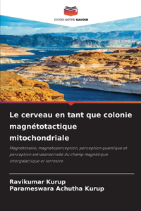 cerveau en tant que colonie magnétotactique mitochondriale
