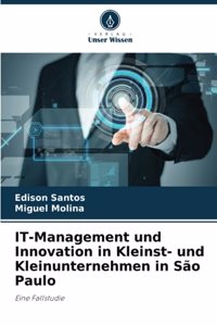 IT-Management und Innovation in Kleinst- und Kleinunternehmen in São Paulo