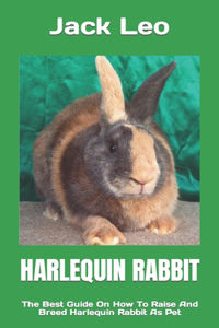 Harlequin Rabbit: The Best Guide On How To Raise And Breed Harlequin Rabbit As Pet