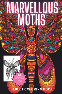 Marvellous Moths Coloring Book