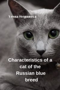 Characteristics of a Cat of the Russian Blue Breed