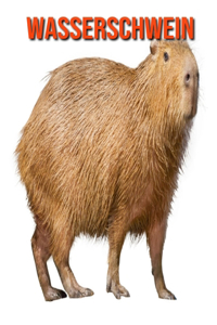 Wasserschwein