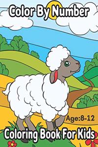 Color By Number Ages