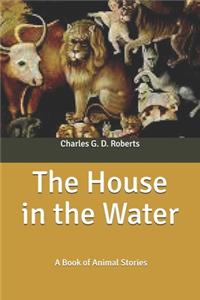 The House in the Water