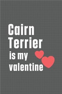Cairn Terrier is my valentine