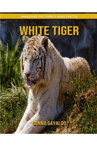 White Tiger