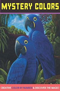 Mystery colors creative color by number & discover the magic