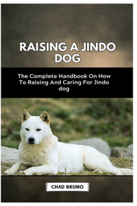 Raising a Jindo Dog