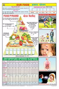 Teachingnest | Our Food Chart (70X100Cm) | Food And Nutrition Chart | Wall Sticking | English - Hindi Combined