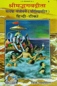Bhagwat Gita, In Hindi, Limited Edition