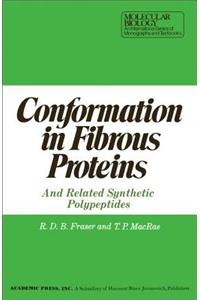 Conformation in Fibrous Proteins and Related Synthetic Polypeptides