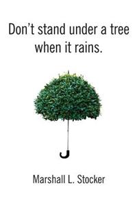 Don't Stand Under a Tree When It Rains