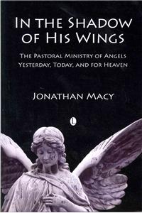 In the Shadow of His Wings