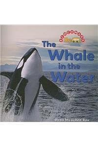 Whale in the Water