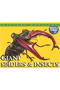 Giant Spiders & Insects