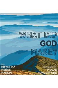 What Did God Make?