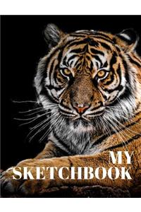 My Sketchbook