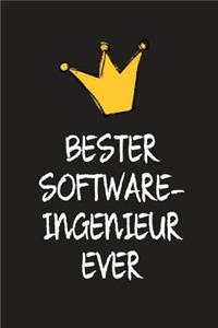 Bester Softwareingenieur