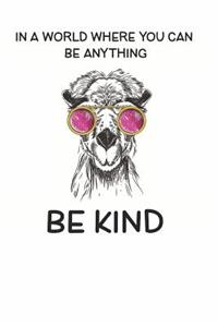 In a World Where You Can be Anything Be Kind