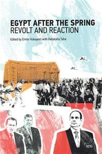 Egypt after the Spring: Revolt and Reaction