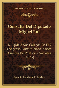 Consulta Del Diputado Miguel Rul