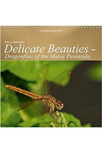 Delicate Beauties - Dragonflies of the Malay Peninsula 2017