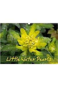 Little Water Pearls 2018