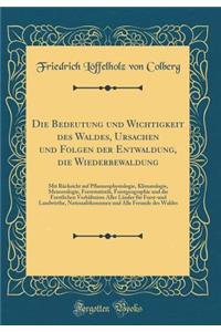 Die Bedeutung Und Wichtigkeit Des Waldes, Ursachen Und Folgen Der Entwaldung, Die Wiederbewaldung