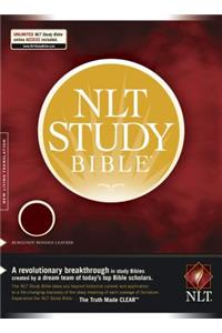 Study Bible-NLT