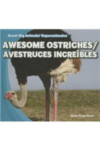 Awesome Ostriches/Avestruces Increibles