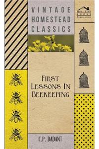 First Lessons in Beekeeping