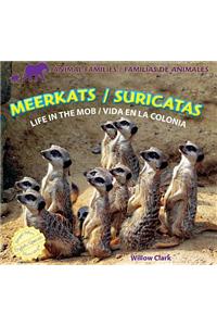 Meerkats: Life in the Mob / Suricatas: Vida En La Colonia