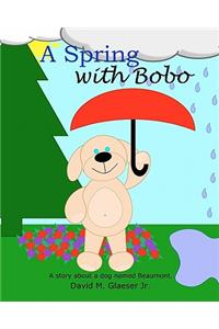 A Spring with Bobo